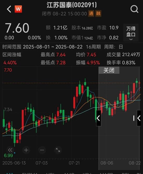 预测年收150亿元的大项目不做了，投138亿元炒股、理财！江苏国泰公司总市值才124亿