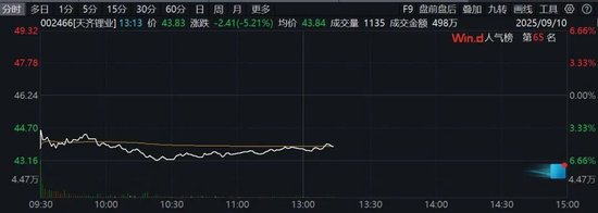 锂圈又震动了！突然大跌！发生了什么？