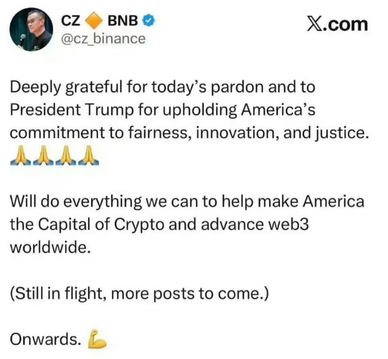 赦免赵长鹏,谁是大赢家?