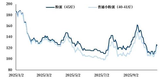 【市场聚焦】鸡蛋:情绪回暖,估值修复